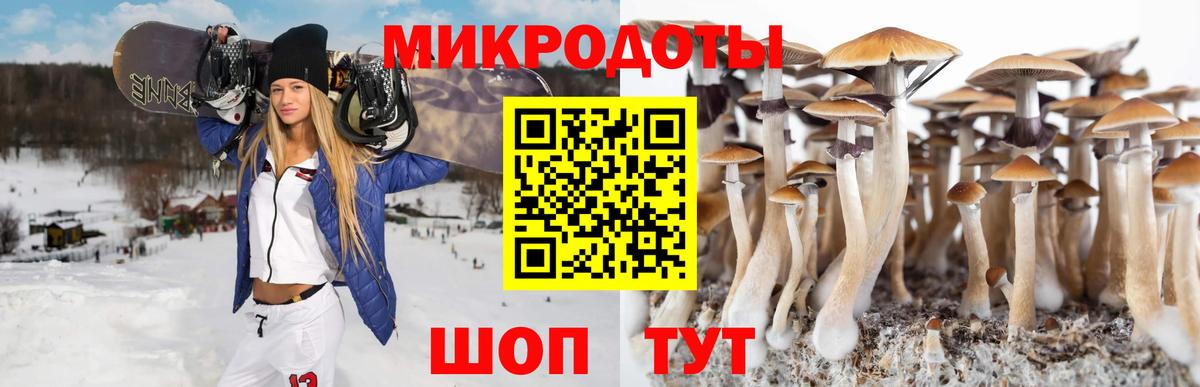 Ахтубинск  Галлюциногенные грибы прущие грибы  Вход с VPN 